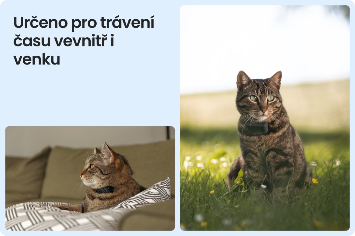 Tractive CAT Mini shown on indoor and outdoor cats, demonstrating versatility for all lifestyles.