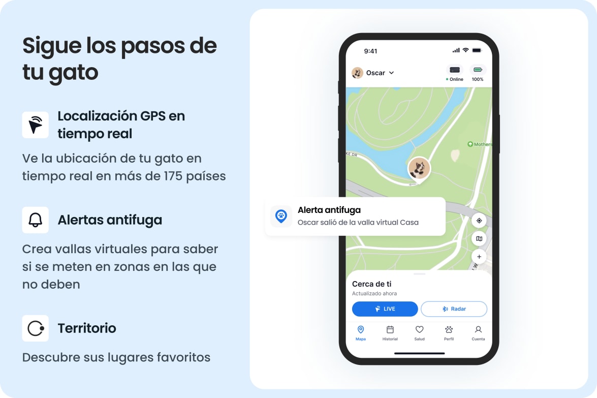 Tractive app showing real-time GPS tracking for cats, with escape alerts and territory insights.