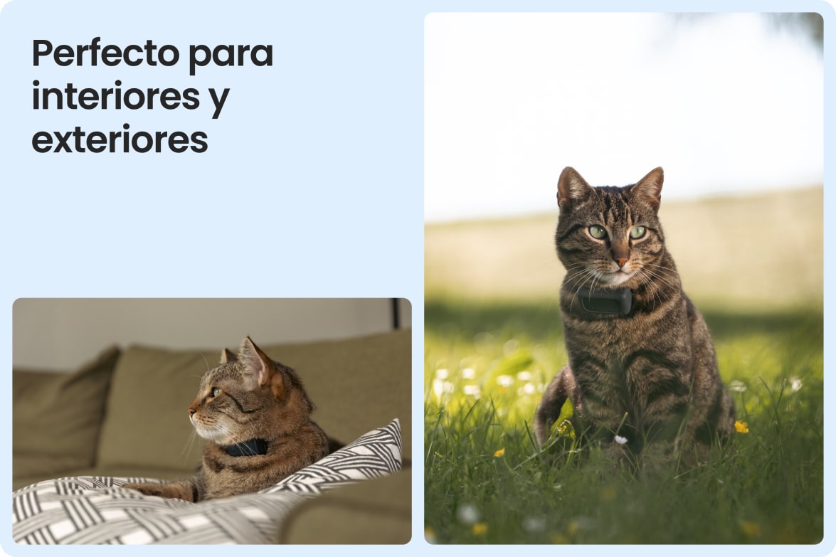 Tractive CAT Mini shown on indoor and outdoor cats, demonstrating versatility for all lifestyles.