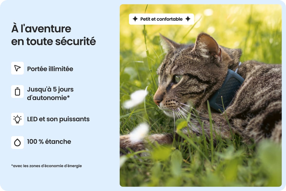 Cat wearing Tractive CAT Mini tracker, highlighting waterproof design, long battery life, and strong light and sound.