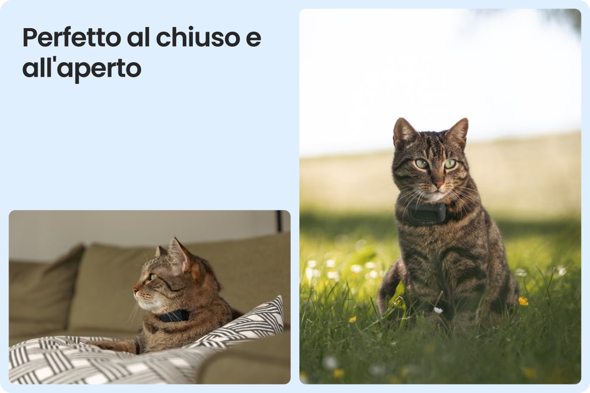 Tractive CAT Mini shown on indoor and outdoor cats, demonstrating versatility for all lifestyles.