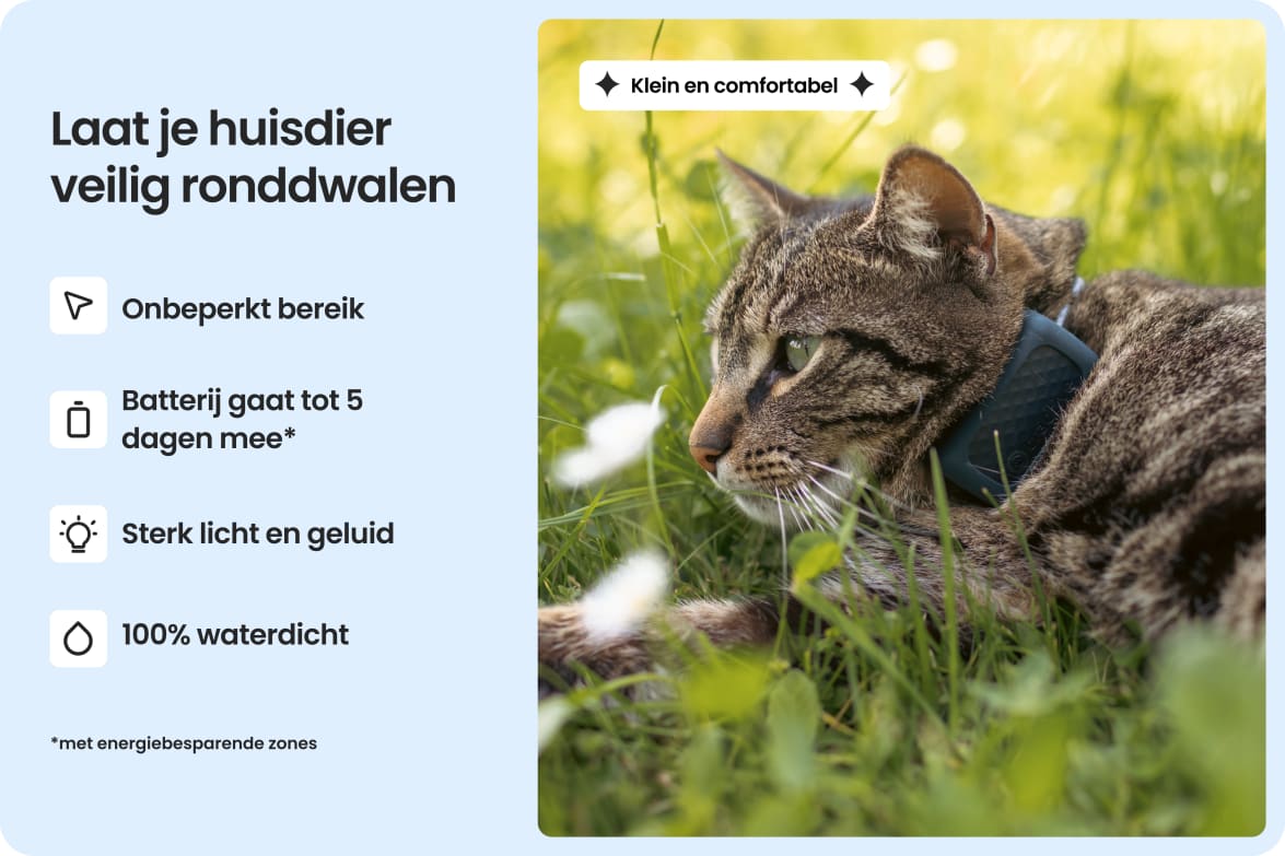 Cat wearing Tractive CAT Mini tracker, highlighting waterproof design, long battery life, and strong light and sound.