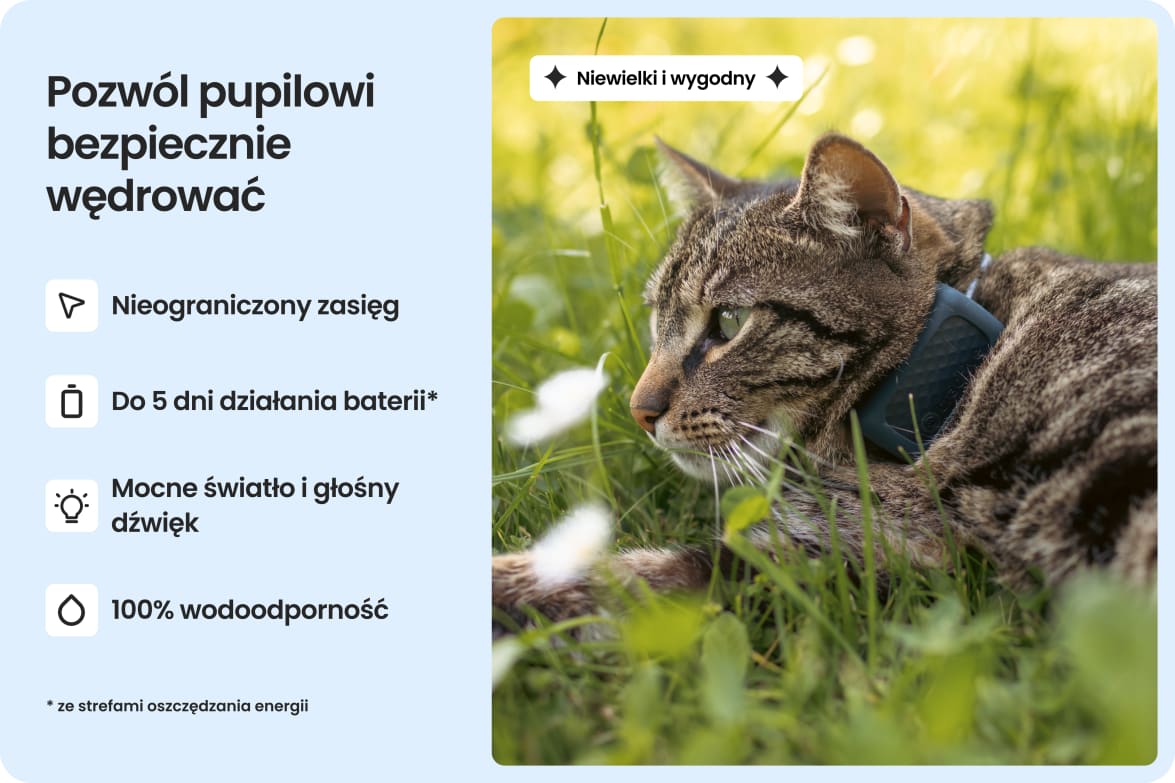 Cat wearing Tractive CAT Mini tracker, highlighting waterproof design, long battery life, and strong light and sound.