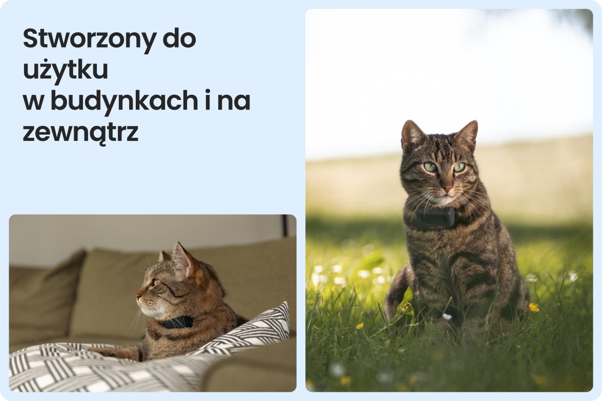 Tractive CAT Mini shown on indoor and outdoor cats, demonstrating versatility for all lifestyles.