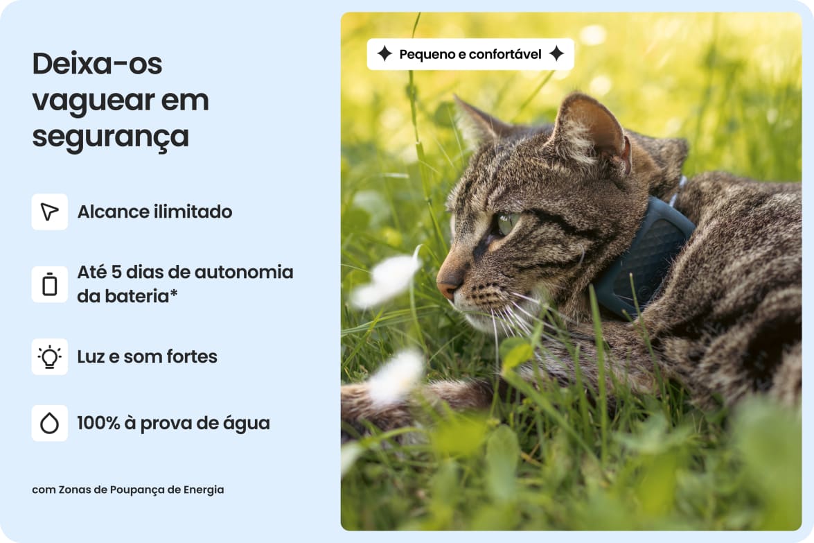 Cat wearing Tractive CAT Mini tracker, highlighting waterproof design, long battery life, and strong light and sound.