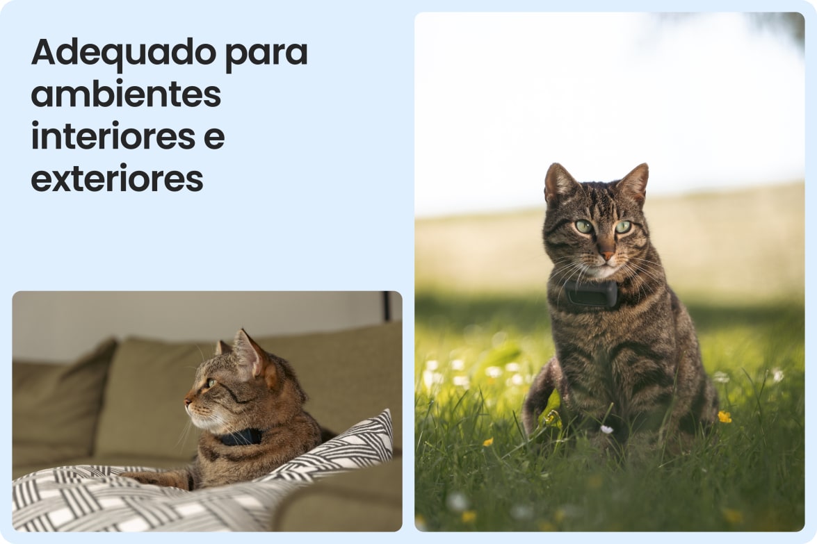 Tractive CAT Mini shown on indoor and outdoor cats, demonstrating versatility for all lifestyles.