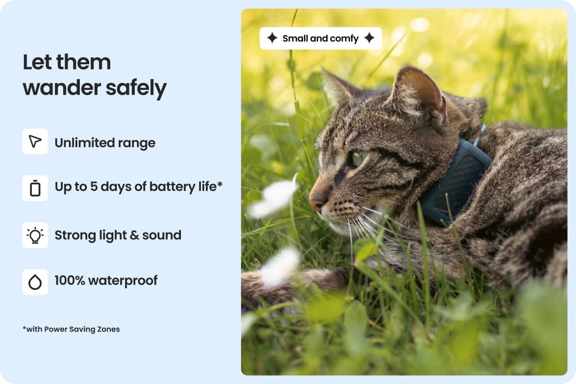 Cat wearing Tractive CAT Mini tracker, highlighting waterproof design, long battery life, and strong light and sound.