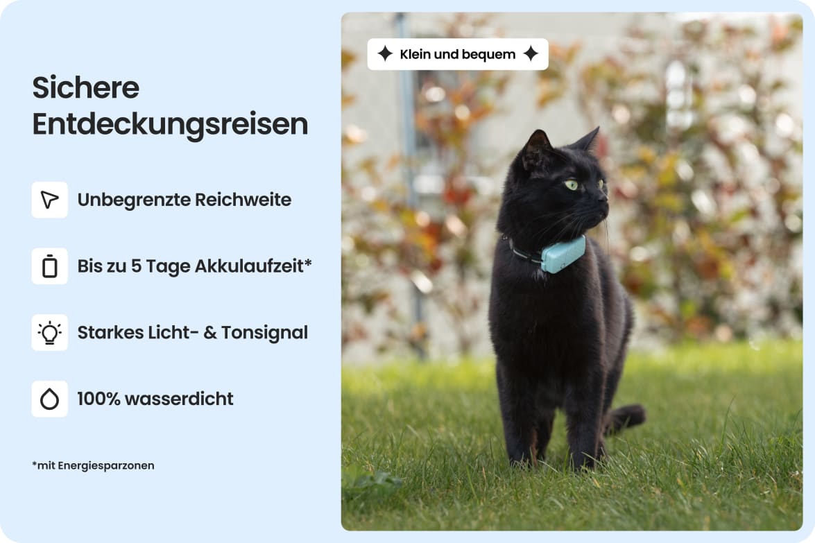 Cat wearing Tractive CAT Mini tracker, highlighting waterproof design, long battery life, and strong light and sound.
