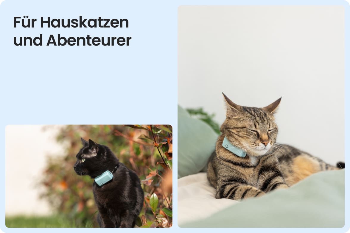 Tractive CAT Mini shown on indoor and outdoor cats, demonstrating versatility for all lifestyles.