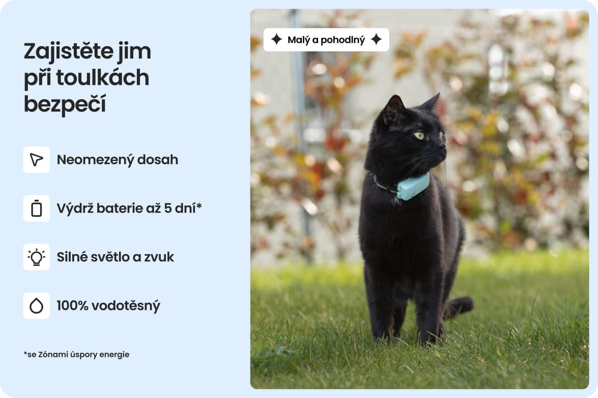 Cat wearing Tractive CAT Mini tracker, highlighting waterproof design, long battery life, and strong light and sound.