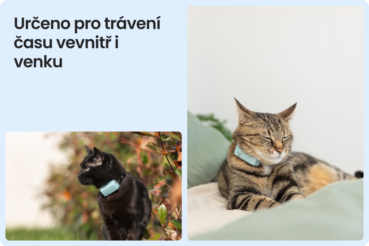 Tractive CAT Mini shown on indoor and outdoor cats, demonstrating versatility for all lifestyles.