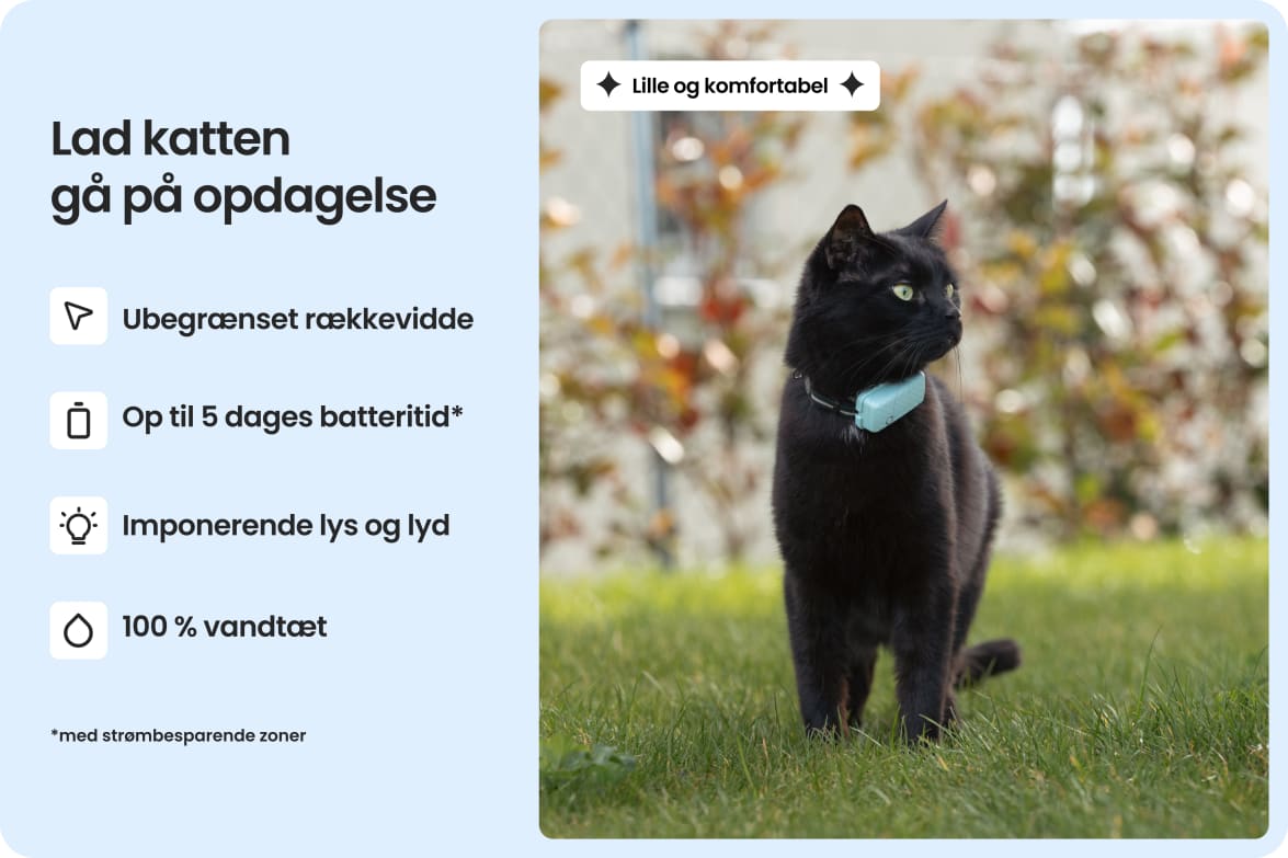 Cat wearing Tractive CAT Mini tracker, highlighting waterproof design, long battery life, and strong light and sound.