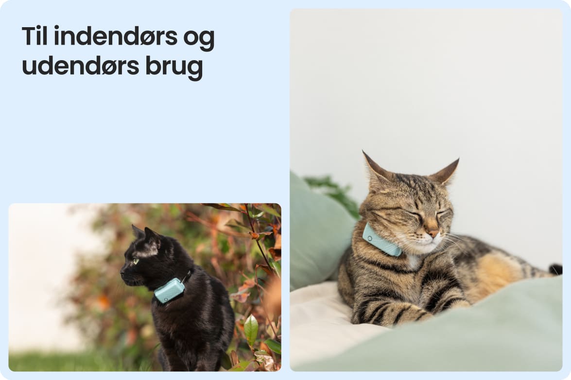 Tractive CAT Mini shown on indoor and outdoor cats, demonstrating versatility for all lifestyles.