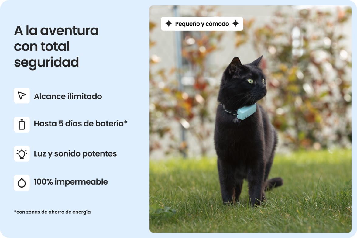 Cat wearing Tractive CAT Mini tracker, highlighting waterproof design, long battery life, and strong light and sound.