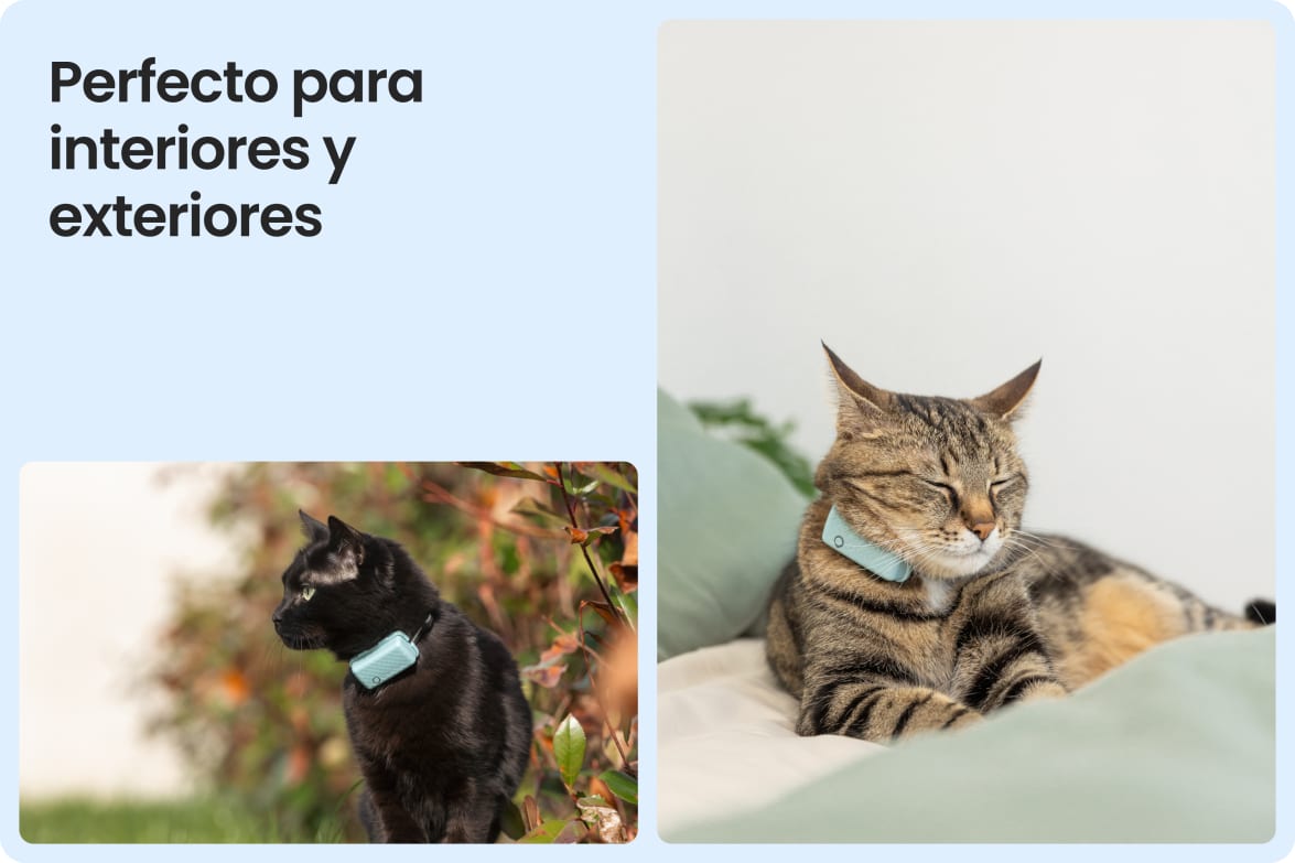 Tractive CAT Mini shown on indoor and outdoor cats, demonstrating versatility for all lifestyles.