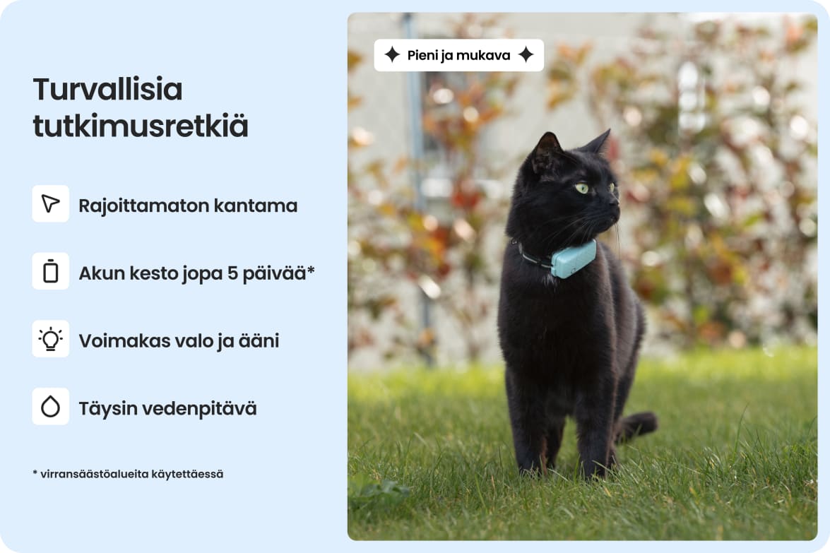 Cat wearing Tractive CAT Mini tracker, highlighting waterproof design, long battery life, and strong light and sound.
