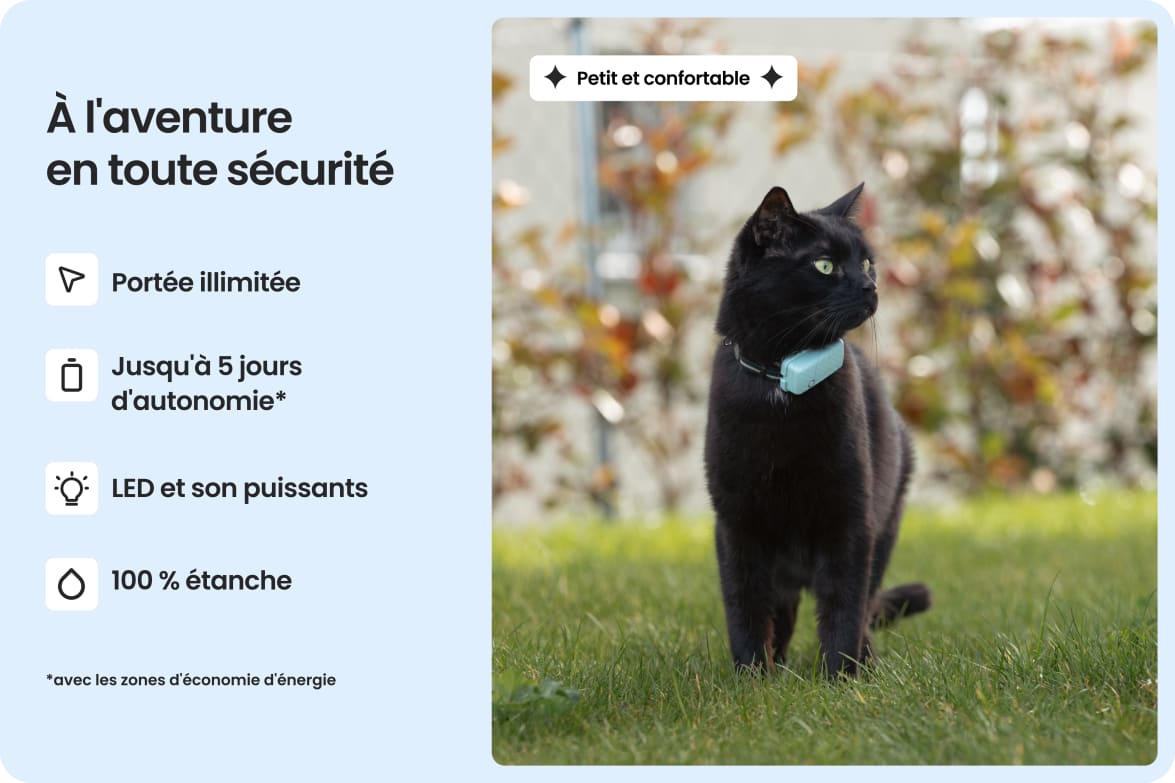 Cat wearing Tractive CAT Mini tracker, highlighting waterproof design, long battery life, and strong light and sound.