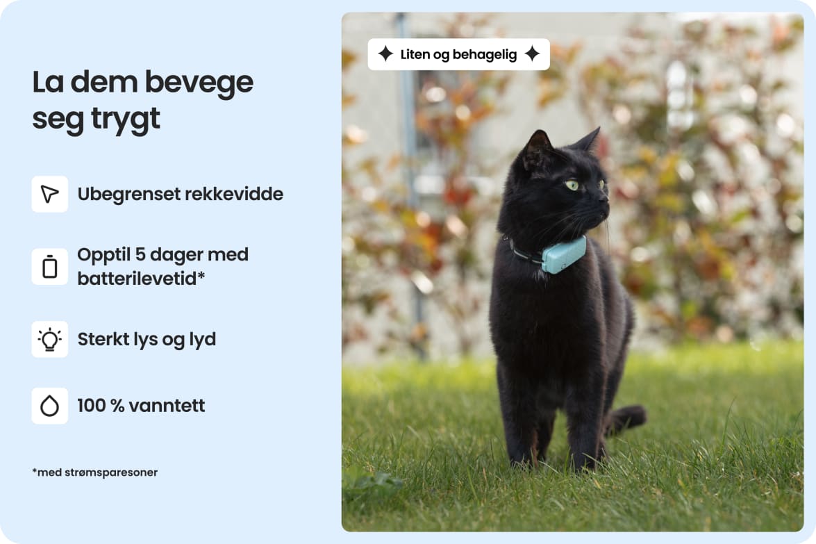 Cat wearing Tractive CAT Mini tracker, highlighting waterproof design, long battery life, and strong light and sound.