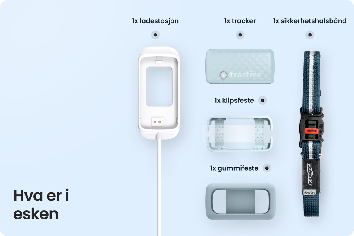Box contents for Tractive CAT Mini including tracker, charging station, collar, and mounting accessories.