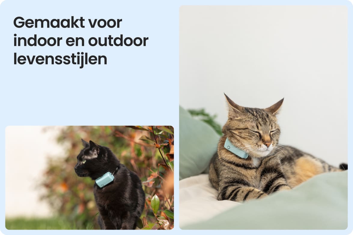 Tractive CAT Mini shown on indoor and outdoor cats, demonstrating versatility for all lifestyles.