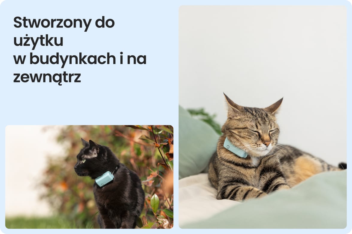 Tractive CAT Mini shown on indoor and outdoor cats, demonstrating versatility for all lifestyles.