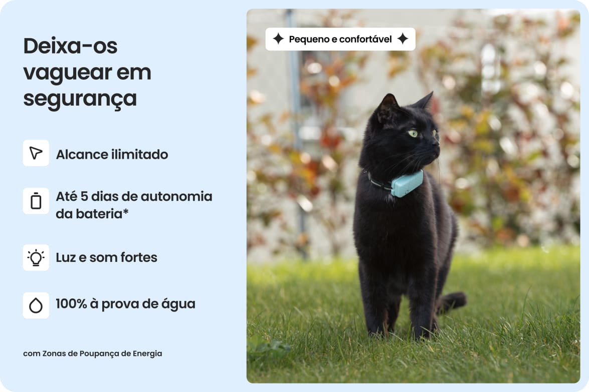 Cat wearing Tractive CAT Mini tracker, highlighting waterproof design, long battery life, and strong light and sound.