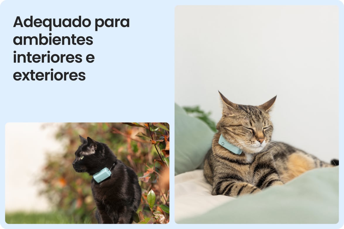 Tractive CAT Mini shown on indoor and outdoor cats, demonstrating versatility for all lifestyles.