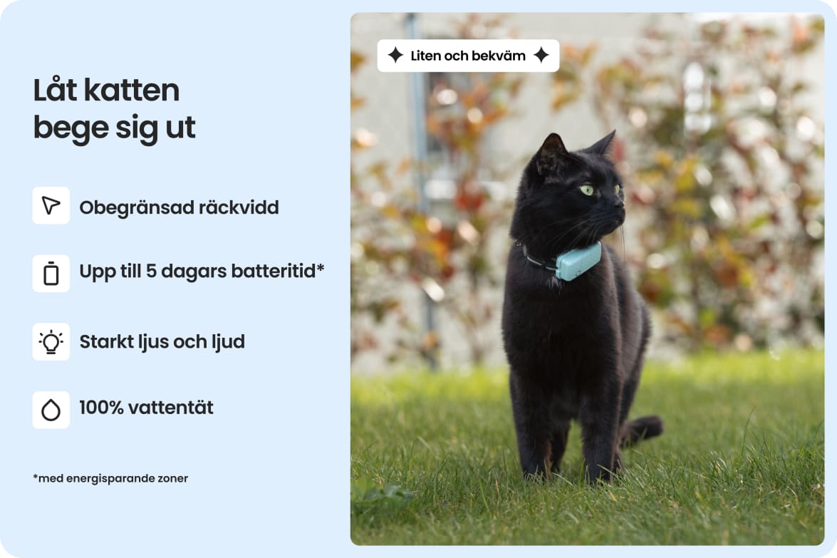 Cat wearing Tractive CAT Mini tracker, highlighting waterproof design, long battery life, and strong light and sound.
