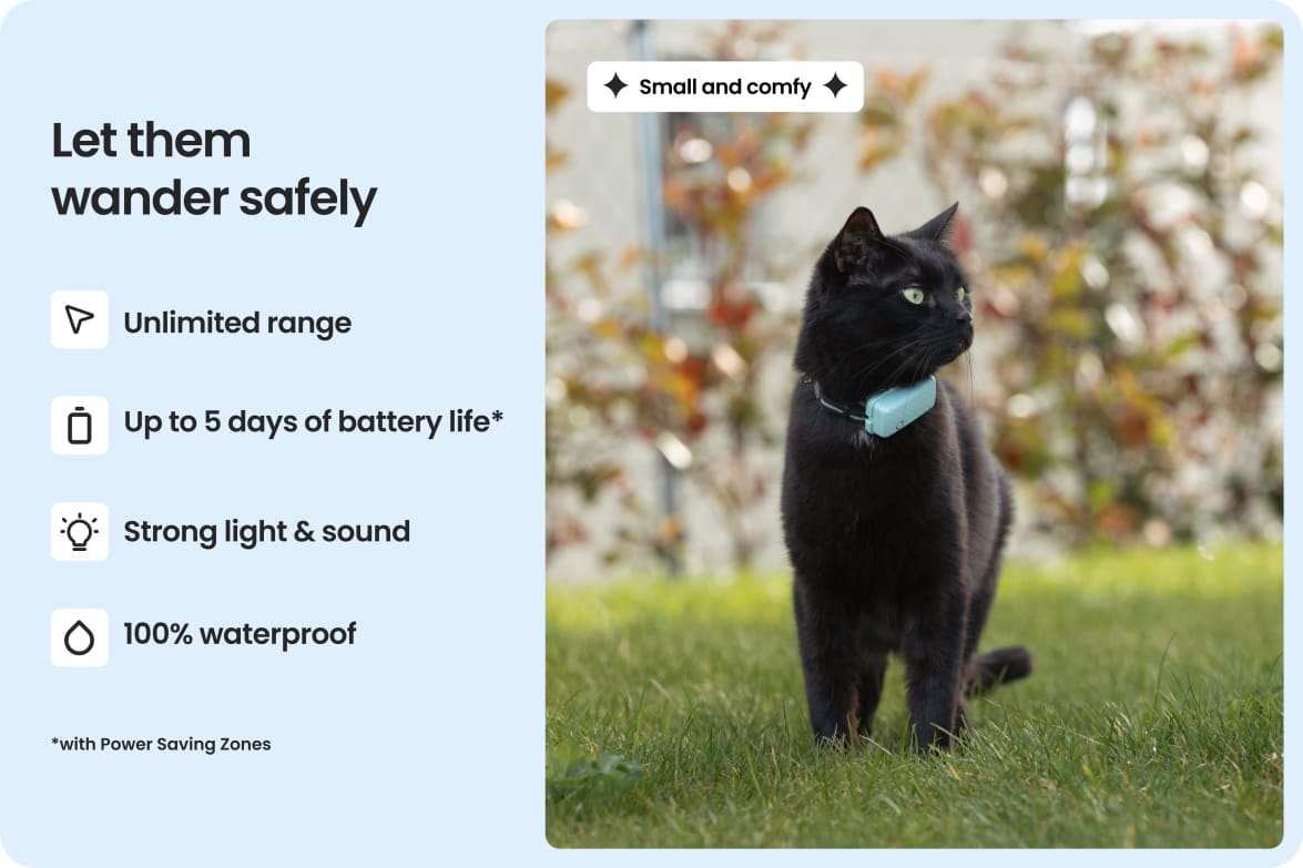 Cat wearing Tractive CAT Mini tracker, highlighting waterproof design, long battery life, and strong light and sound.