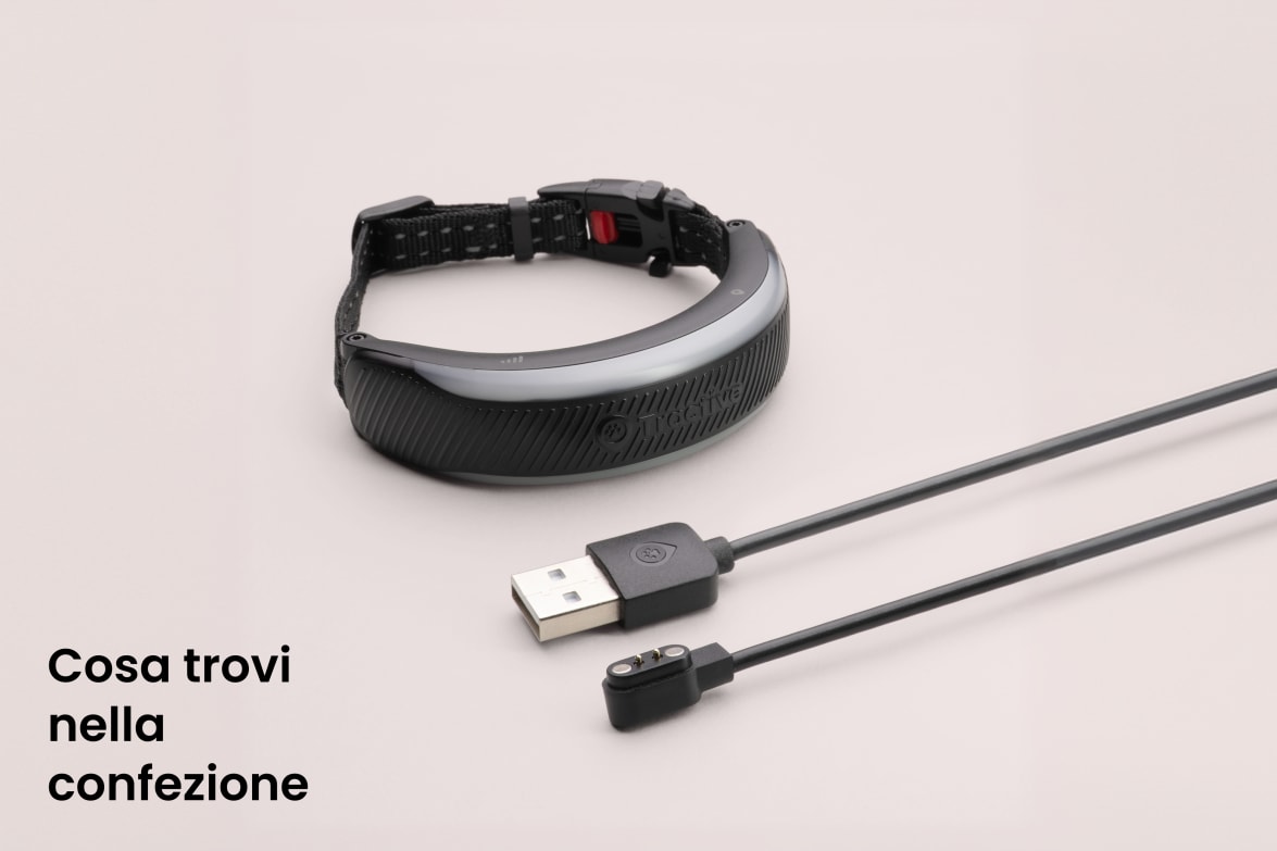 Collare GPS Per Gatti Con Localizzatore Apple - Impermeabile, Regolabile 22-35 Cm, Fibbia Di Sicurezza E Strisce Riflettenti - Azzurro