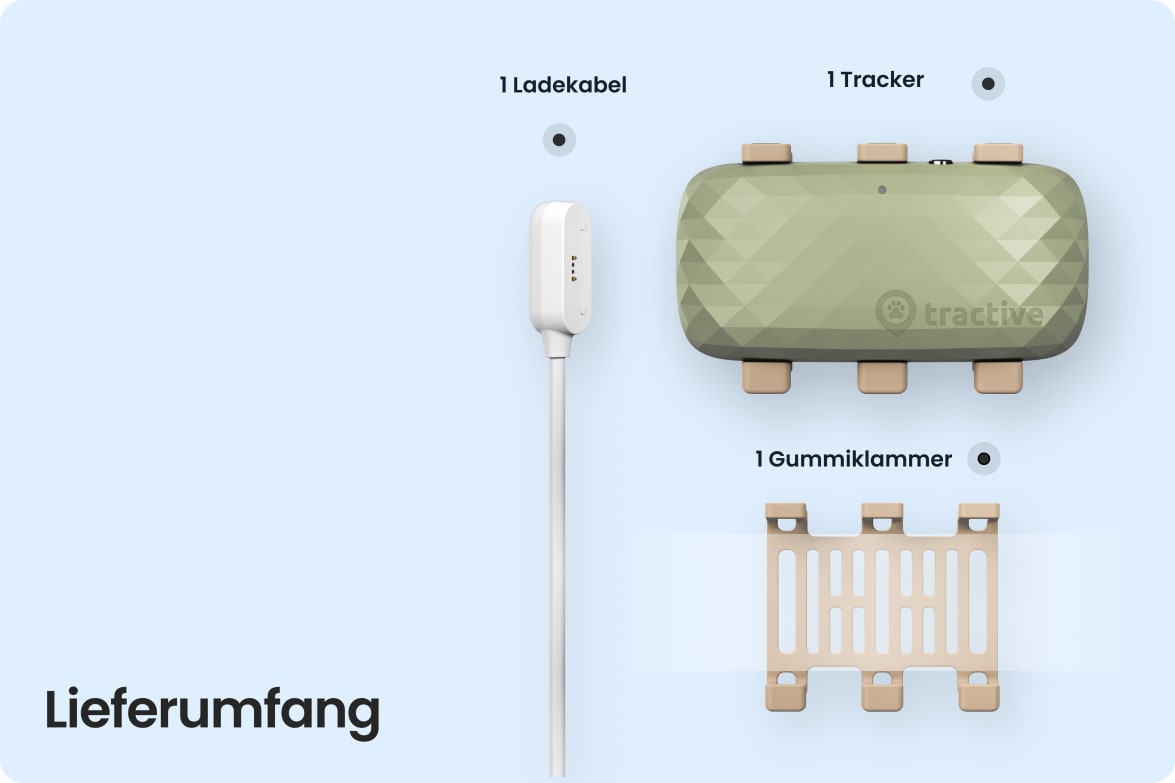 Box contents for Tractive DOG XL, including tracker, rubber clip, and magnetic charging cable.