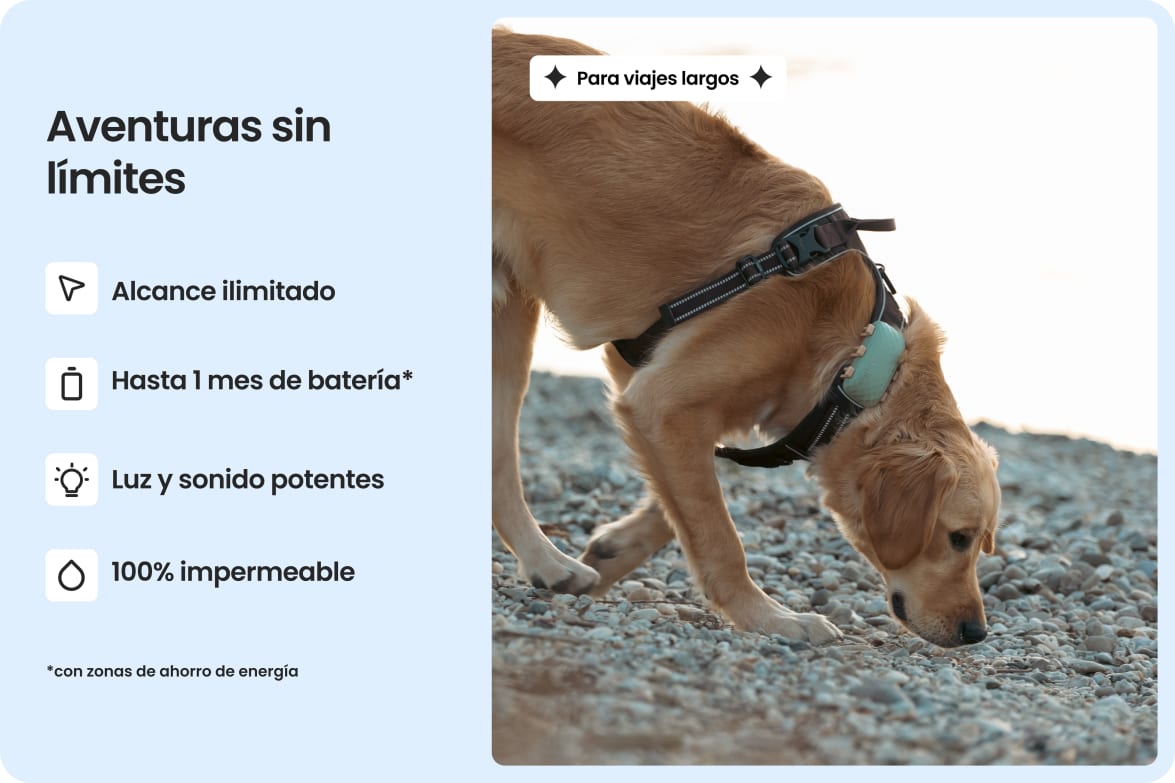 Large dog wearing Tractive DOG XL tracker, highlighting waterproof design and up to 1-month battery life.