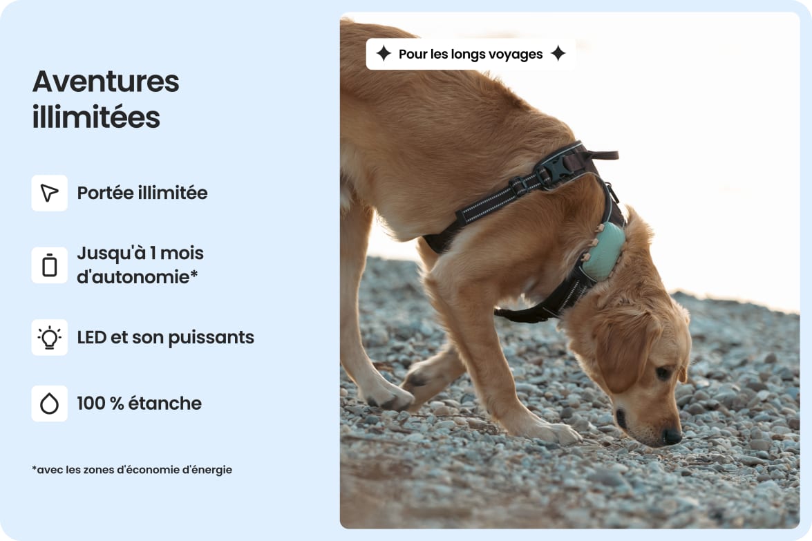 Large dog wearing Tractive DOG XL tracker, highlighting waterproof design and up to 1-month battery life.