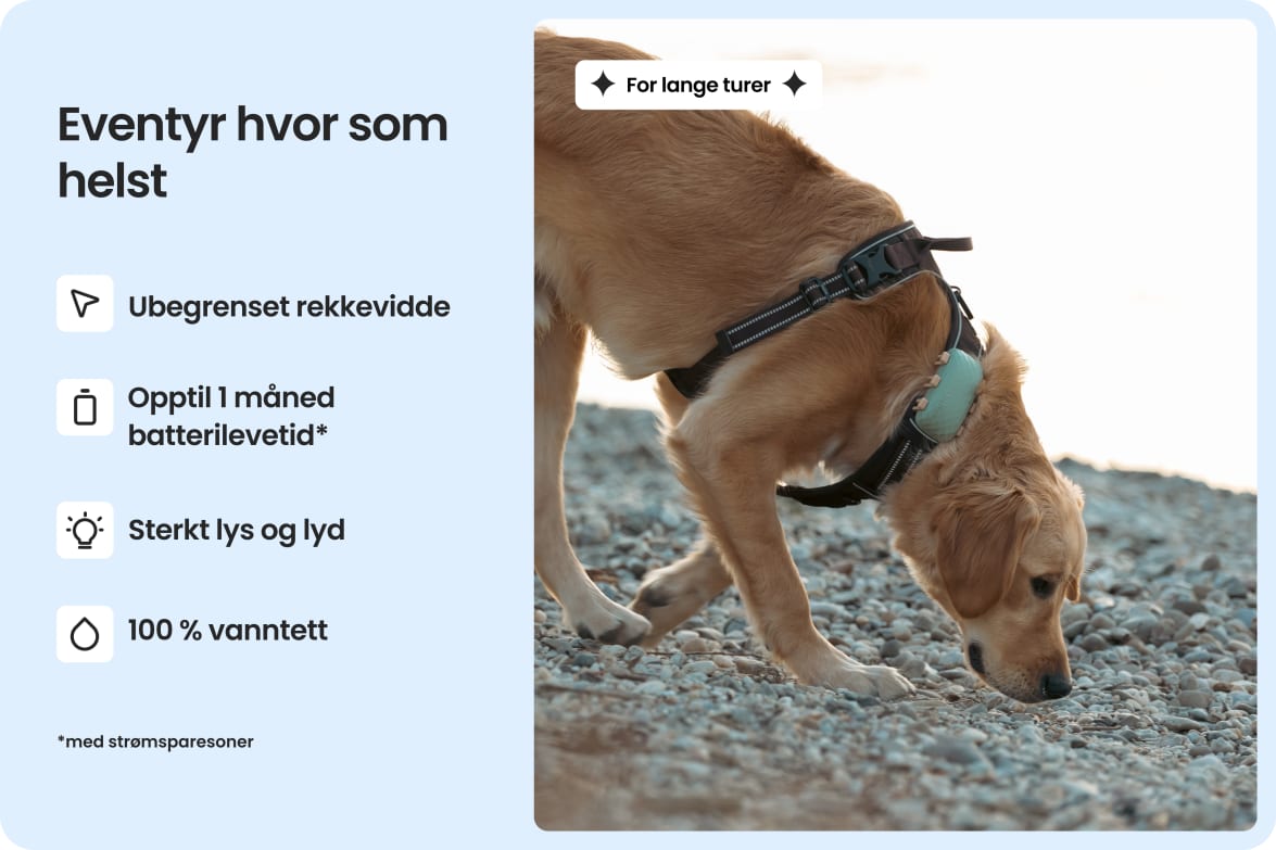 Large dog wearing Tractive DOG XL tracker, highlighting waterproof design and up to 1-month battery life.
