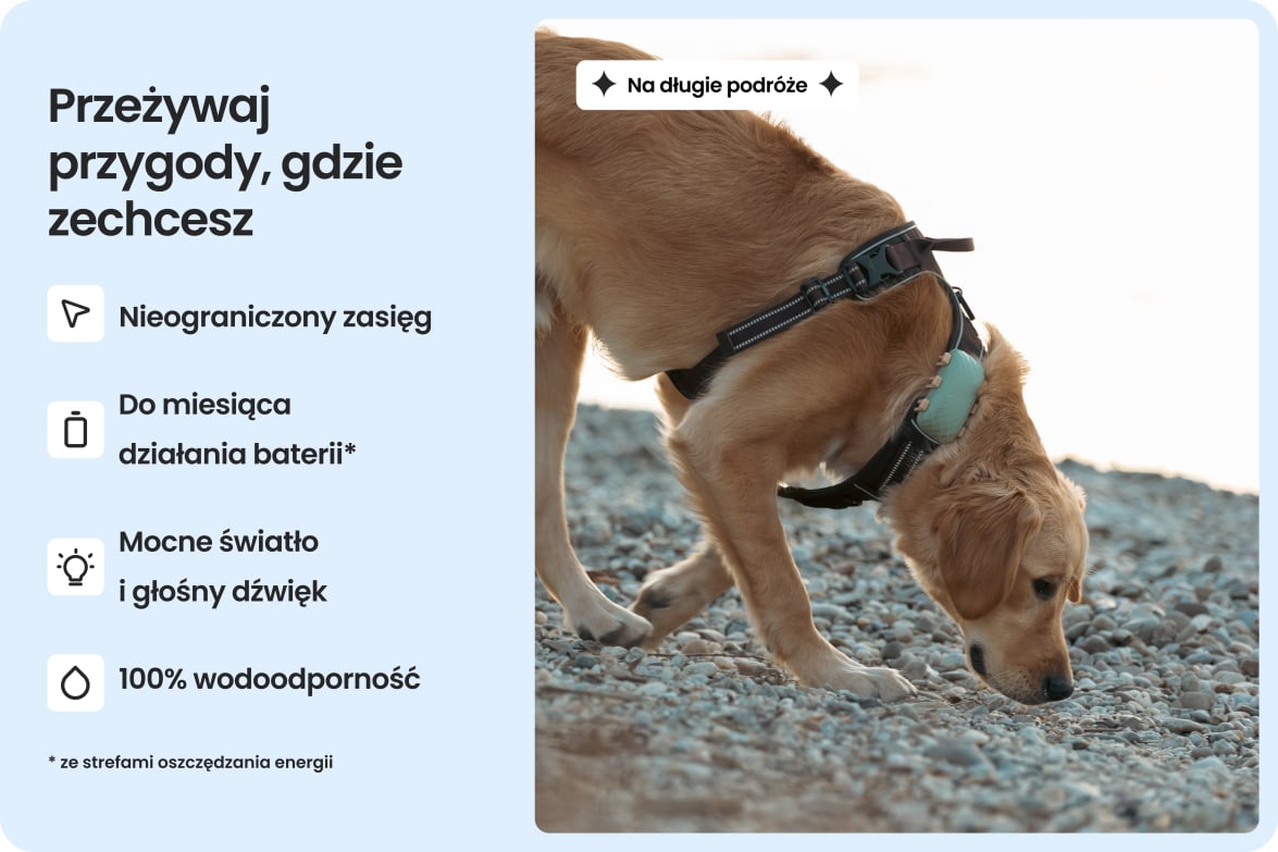 Large dog wearing Tractive DOG XL tracker, highlighting waterproof design and up to 1-month battery life.