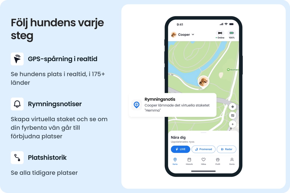 Tractive app showing real-time GPS tracking, escape alerts, and location history for large dogs.