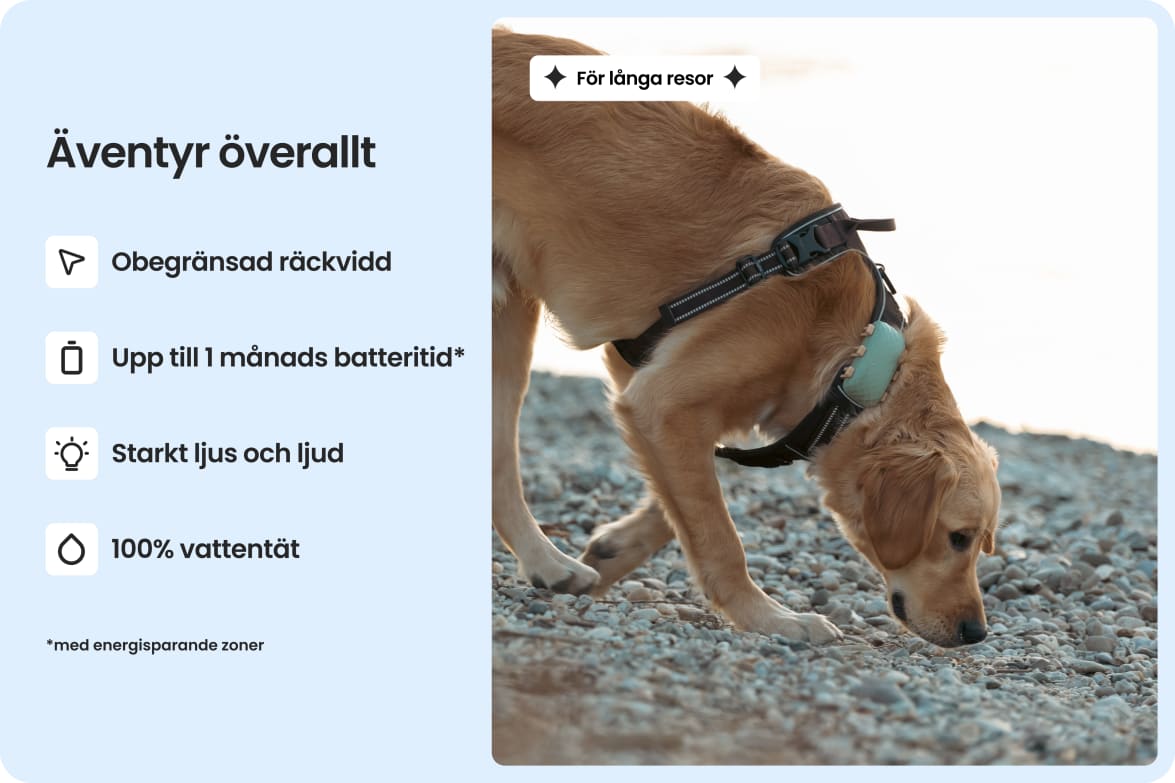 Large dog wearing Tractive DOG XL tracker, highlighting waterproof design and up to 1-month battery life.