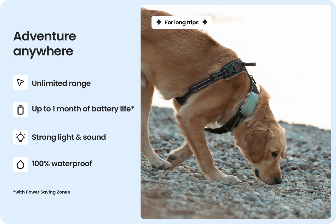 Large dog wearing Tractive DOG XL tracker, highlighting waterproof design and up to 1-month battery life.