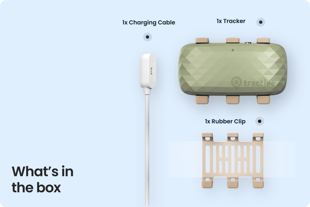 Box contents for Tractive DOG XL, including tracker, rubber clip, and magnetic charging cable.