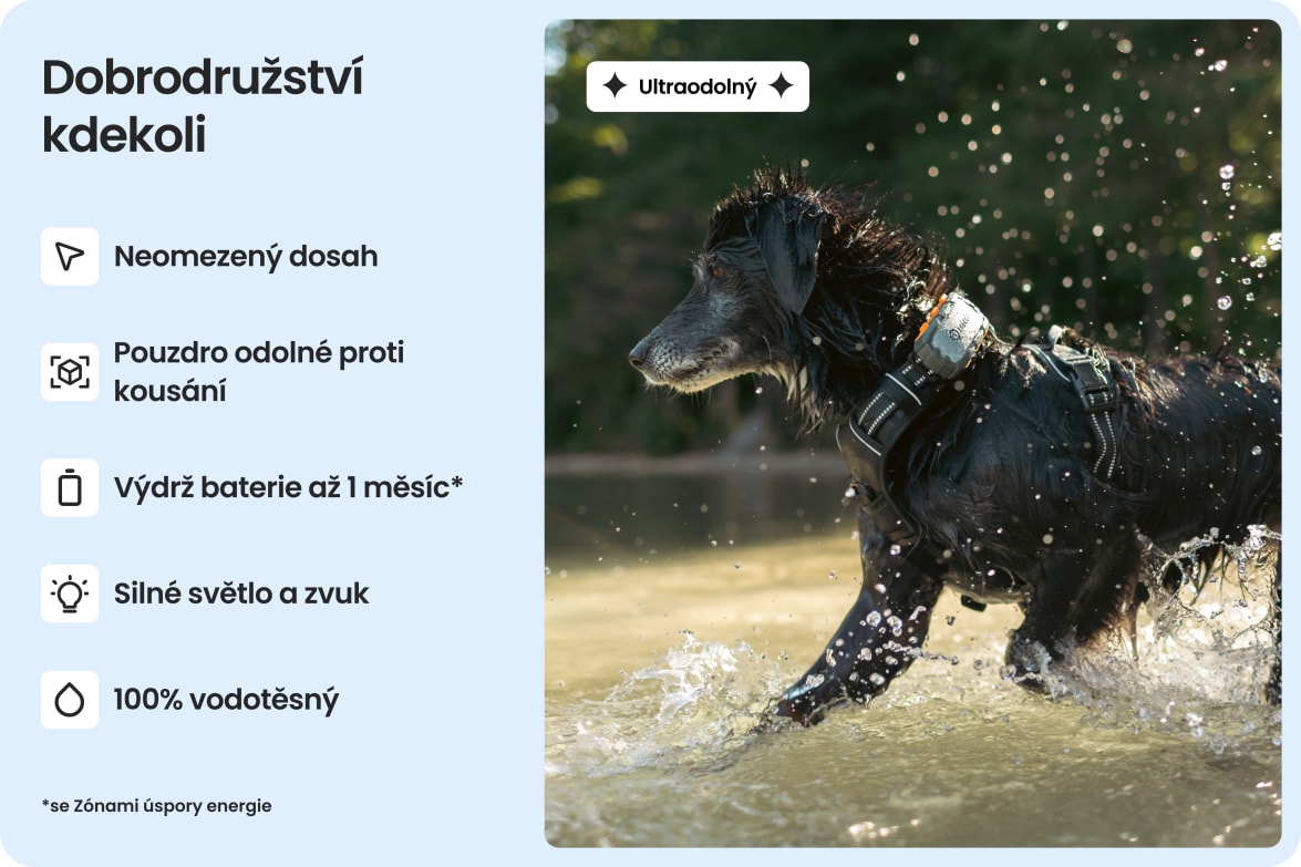 App interface displaying health metrics like vitals, sleep, and activity for dogs wearing Tractive tracker.