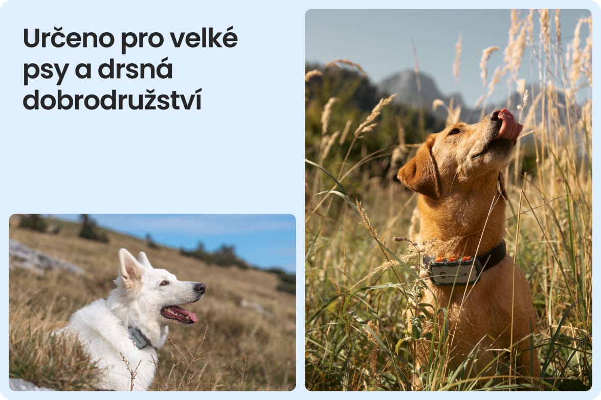Tractive DOG XL Adventure shown on large dogs in rugged outdoor settings, suited for tough conditions.