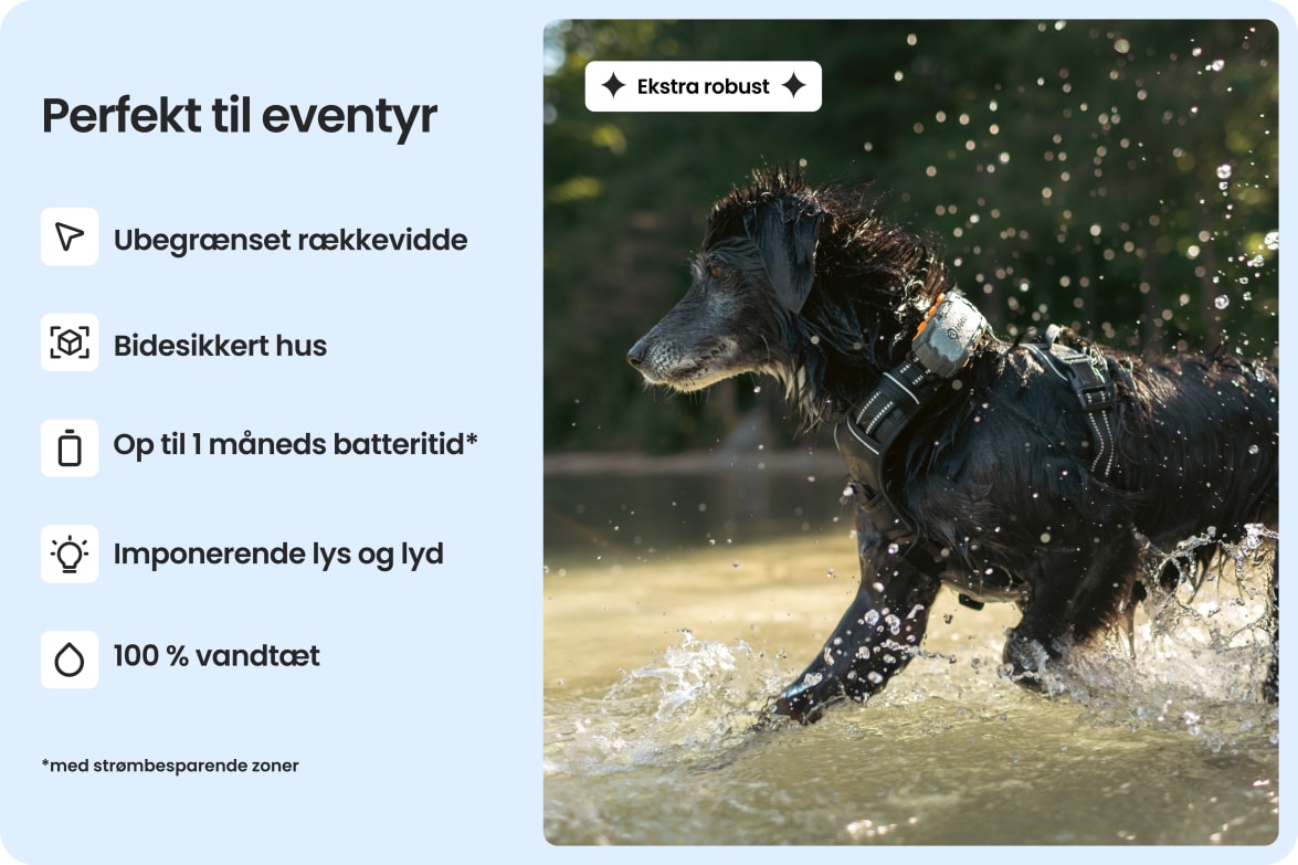 Dog wearing Tractive DOG XL Adventure in water, highlighting waterproof, bite-proof build and long battery life.