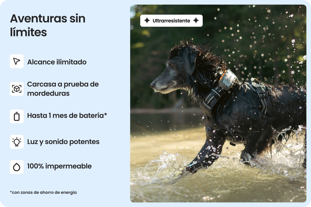 Dog wearing Tractive DOG XL Adventure in water, highlighting waterproof, bite-proof build and long battery life.