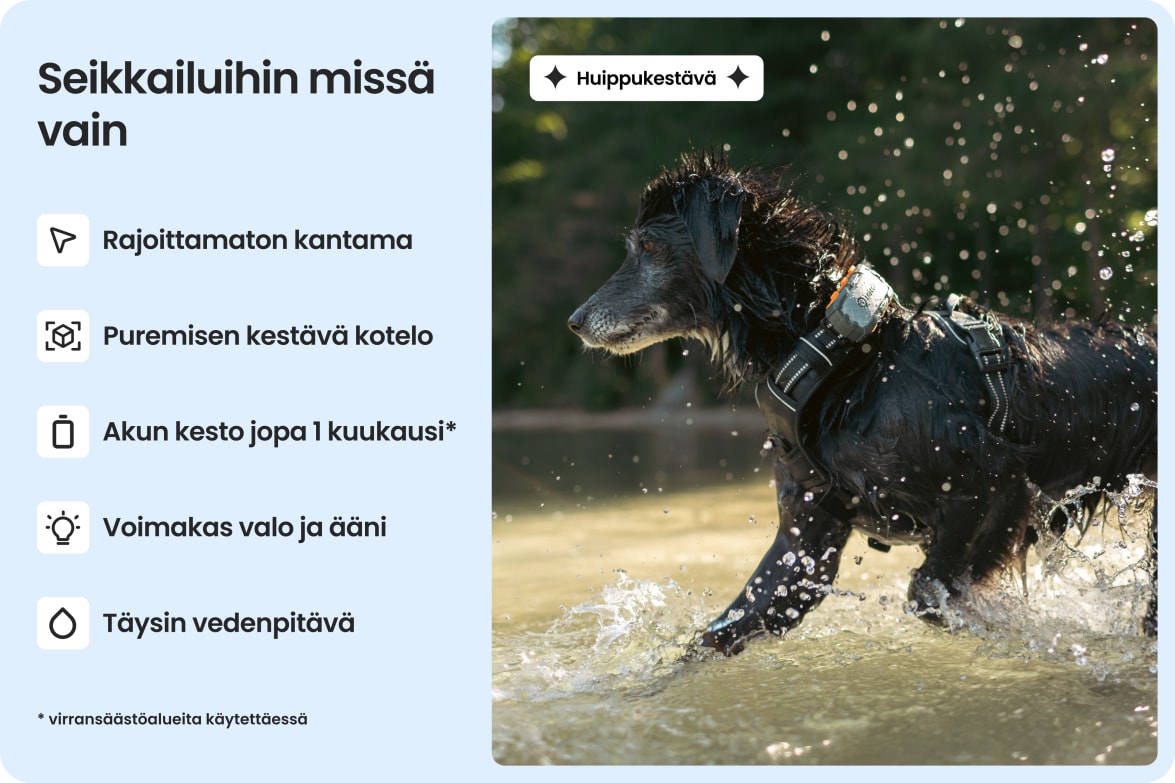Dog wearing Tractive DOG XL Adventure in water, highlighting waterproof, bite-proof build and long battery life.