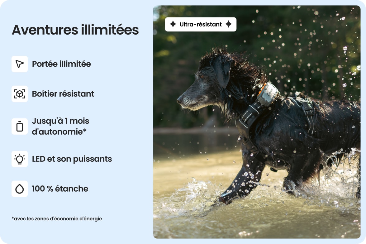 Dog wearing Tractive DOG XL Adventure in water, highlighting waterproof, bite-proof build and long battery life.