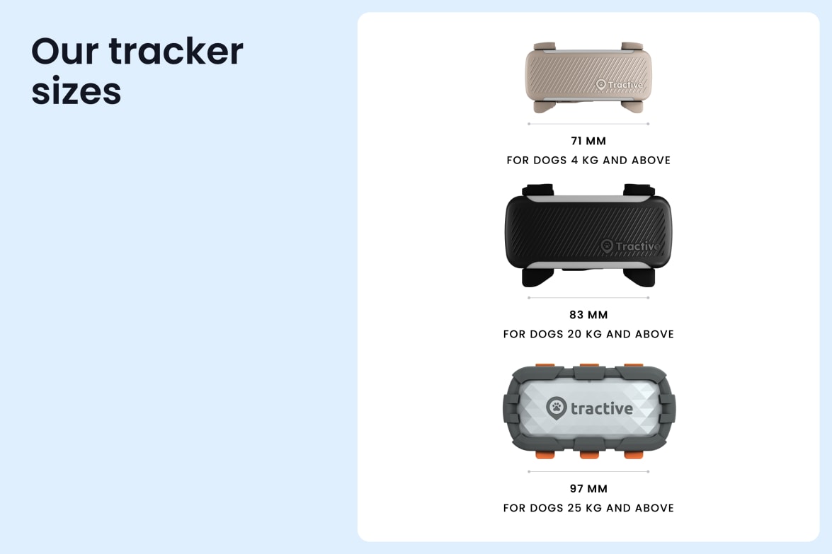 Smart XL GPS & Health Tracker for Dogs - Adventure Edition | Tractive