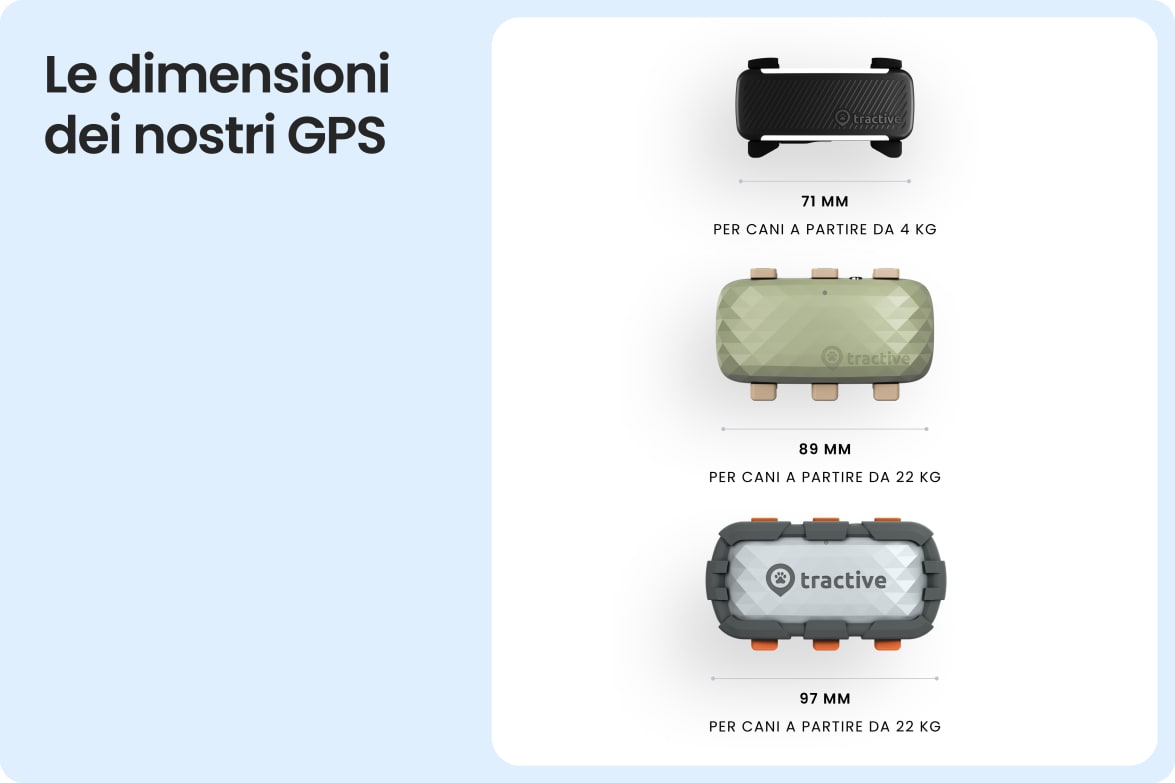 Comparison of Tractive tracker sizes for dogs, including standard and Adventure XL models.