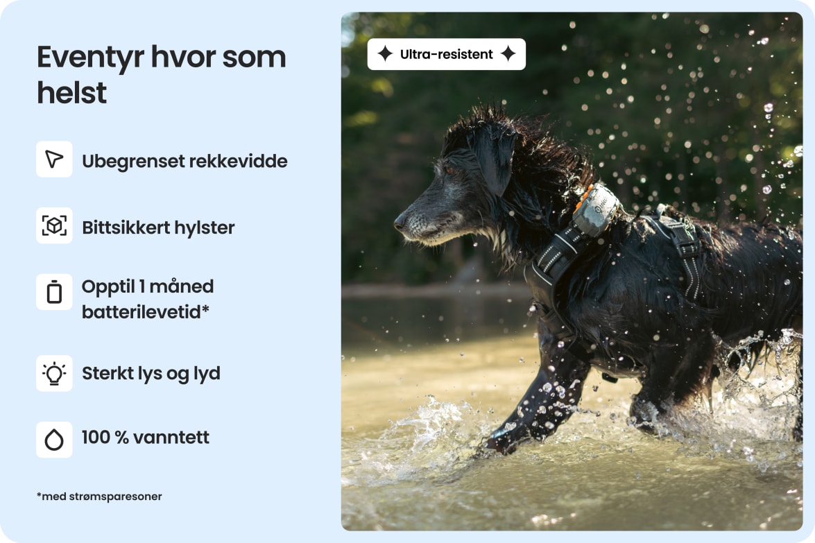 App interface displaying health metrics like vitals, sleep, and activity for dogs wearing Tractive tracker.