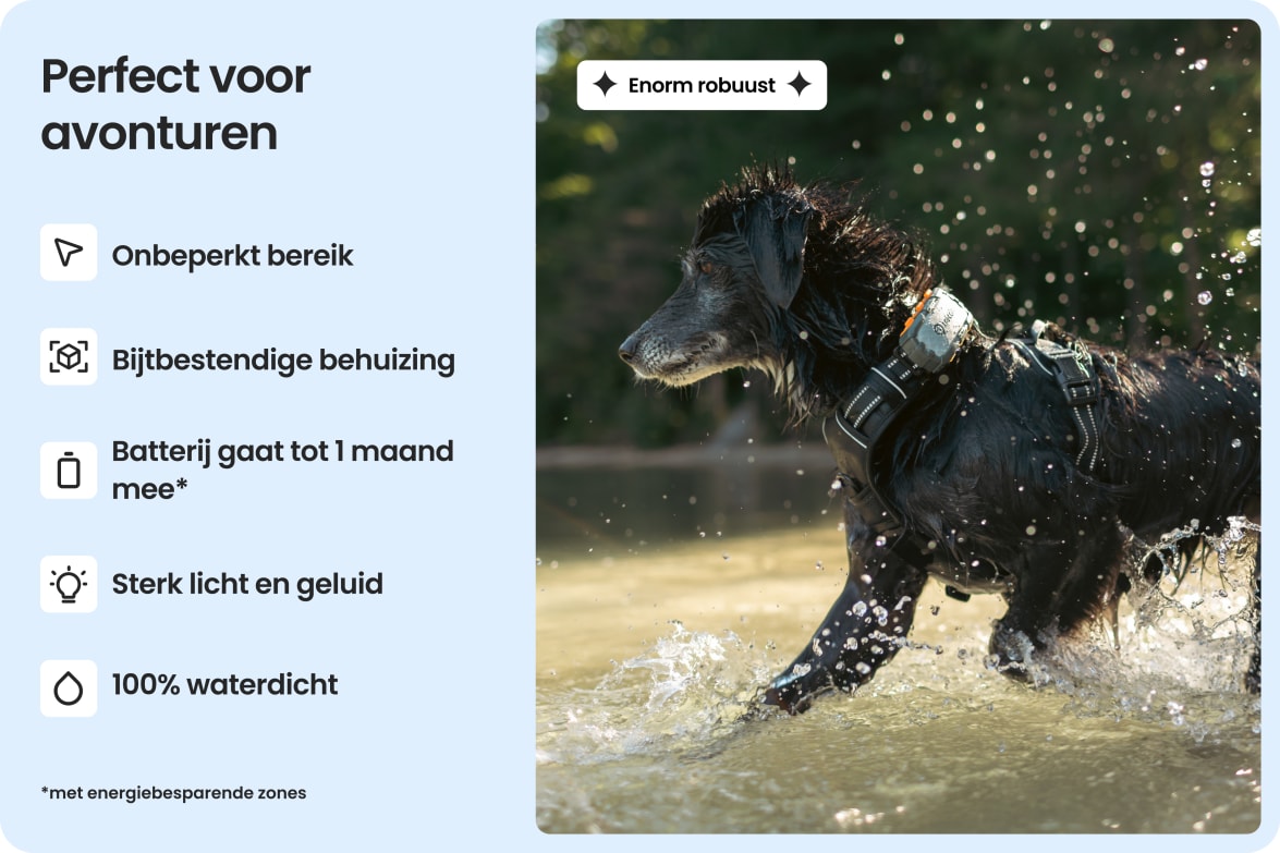 Dog wearing Tractive DOG XL Adventure in water, highlighting waterproof, bite-proof build and long battery life.