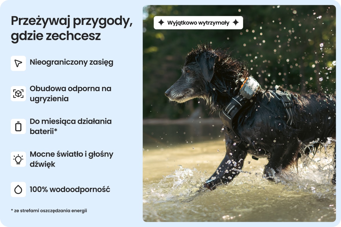 App interface displaying health metrics like vitals, sleep, and activity for dogs wearing Tractive tracker.